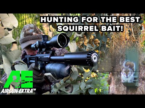 Airgun Extra | Squirrel shooting best bait test | Kral Unica PCP airgun review