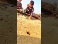How To Play Marbles Like A Pro Marble Kancha Kanche How Kanchi Ytshorts Shorts Tricks Viral