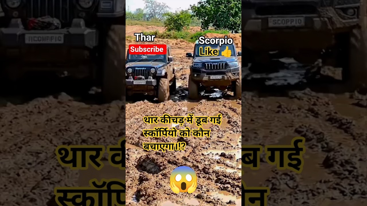 Thar Vs scorpio #_tochan 💸💸⚜️🤙🤙🤙🤙😱😱