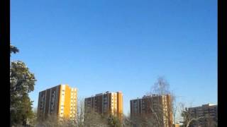 Haakon Ellingsen - Sunshine Girl