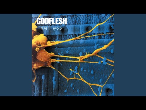 Доклад по теме Godflesh