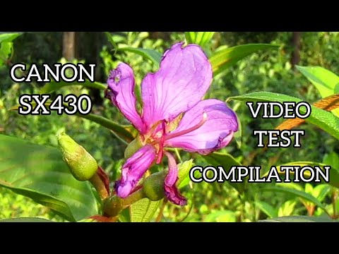 Canon Powershot SX430 Sample Video Test Compilation