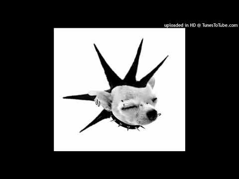 [FREE] NASCAR ALOE x PUNK RAP TYPE BEAT - "punkdog" (prod. plucksunset)