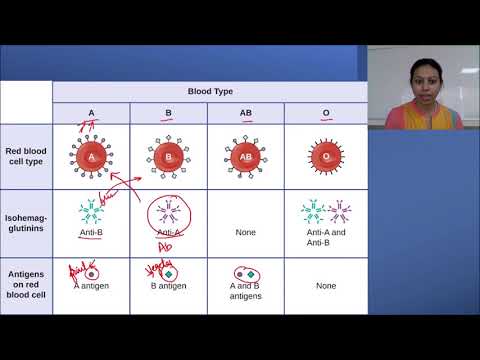 Why blood group AB is universal acceptor and O is Universal donor