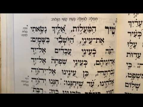 Tehillim psalm 123