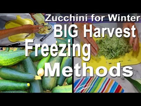 , title : 'Growing Zucchini & Squash EASY Methods to STORE for Winter Meals Freezing Fresh after a BIG Harvest'