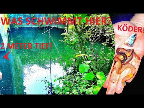MYSTERIÖSEN BACH GEFUNDEN! VOLLER FISCH, WAS HOLEN WIR HIER RAUS?😲