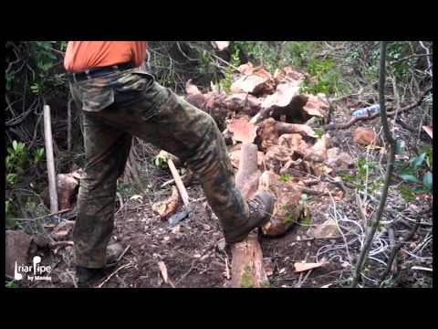 Manno Briar - documentario