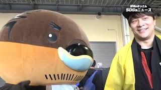 2026/10/20放送・知ったかぶりカイツブリにゅーす