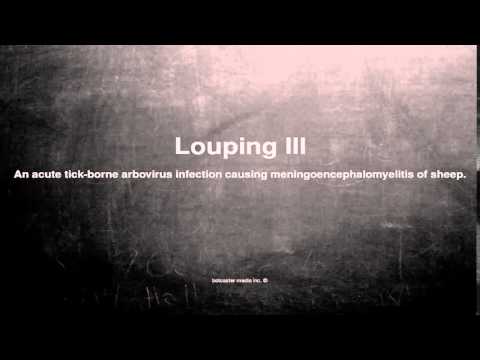 Medical vocabulary: What does Louping Ill mean