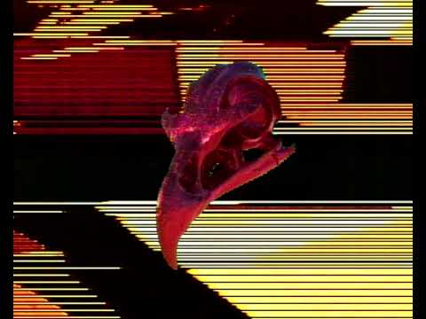 [PREMIERE] The Journey (3am Extended Mix) - Fader Cap | s2i Recordings [2022]