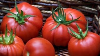 Ripe Tomato Hairstyle Created in Japan