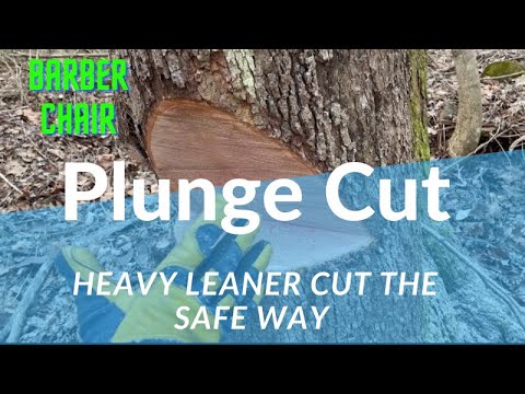 Plunge Cut (Trigger). How to safely cut a heavy leaner.