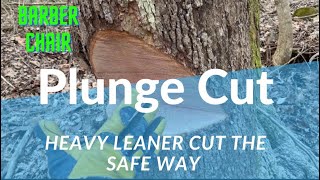 Plunge Cut (Trigger). How to safely cut a heavy leaner.
