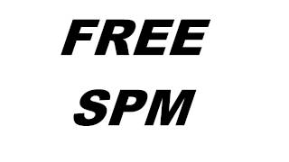 (SPM) South Park Mexican - If It Were You (Audio)