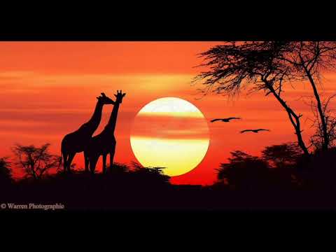 RDK - Between The Afro Sounds 001