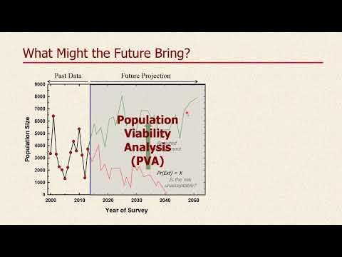 Pva And Understanding The System