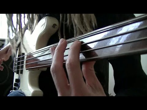 Funky Fretless Bass Grooves with Double Stops