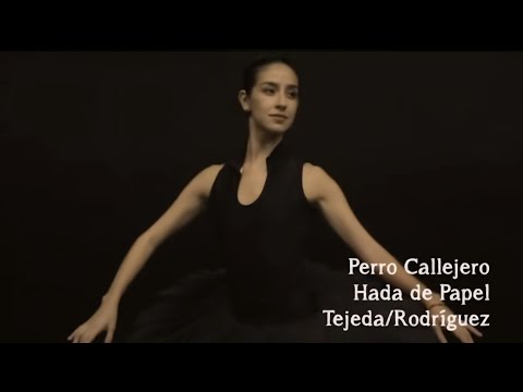 Perro Callejero - Hada De Papel (Video Oficial)