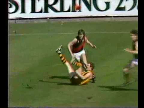 1983 VFL Grand Final highlights