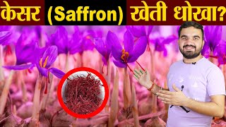 saffron farming is good or bad ? | kesar farming in india | Saffron Fram in Plain North India