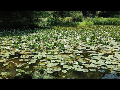 Ce am găsit în 2025 la Băile Olănești Călimănești și mănăstirea Cozia