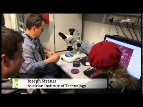 Konkret - Das Servicemagazin - MIKROVERSUM - 01 Milben.mp4