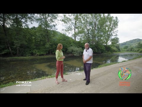 POŽEGA – ljudi koje vredi upoznati, priroda koju ne zaboravljaš | Zagrljaj prirode | Balkan Trip TV