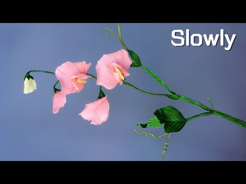 ABC TV | How To Make Sweet Pea Paper Flower From Crepe Paper (Slowly) - Craft Tutorial