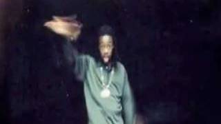 D'Influence Shake It