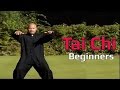 Tai Chi Chuan For Beginners Taiji Canon Fist Chen Style 1 Part 1