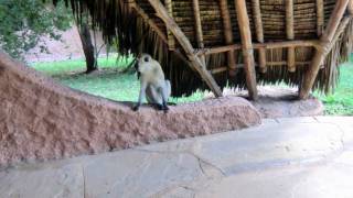 preview picture of video 'KENIA 2010 TRAUMURLAUB am INDISCHEN OZEAN The Sand´s at Nomad FOTO-MUVEE  HD'