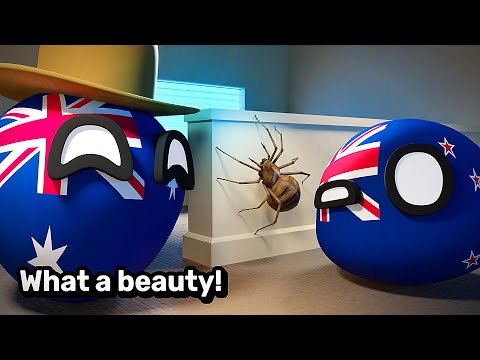 FLATMATES: NZ & Australia | Countryballs Animation