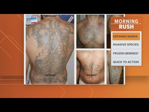 U.S. Marshals release photos of escaped Texas inmate's tattoos