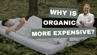 Why Organic Mattresses Are Worth the Expense & How to Buy th