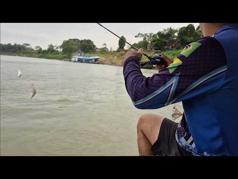 PIRACEMA DE MANDIM NO RIO ENVIRA! 🎣🔥 Pescaria top em Feijó, Acre