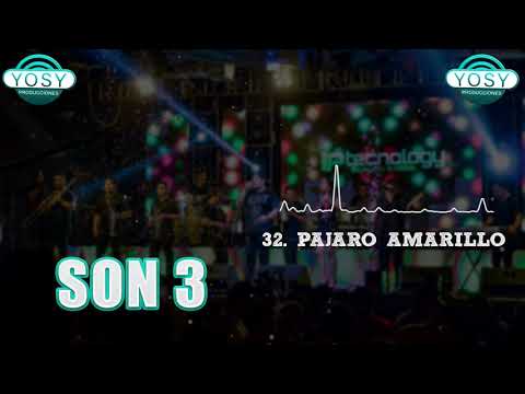 Pajaro amarillo - Son 3