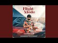 Flight Mode