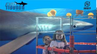 DIA 2 Expo Tiburon25