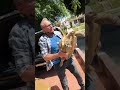 ShyGurl S On The Loose Wild Tortoise Woman Getting In Trouble