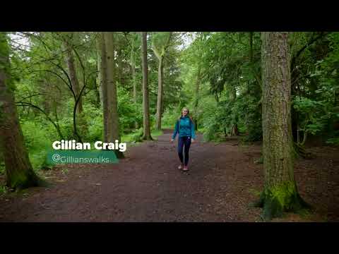 Explore East Ren - hidden gems overview - 2024