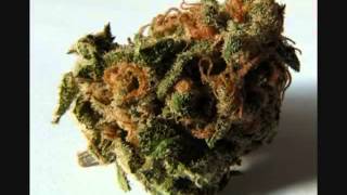 The Roach (The Chronic Outro) Loop