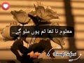 Mukhtasar Hayat Kar De Song Laaj Drama OST Lyrics Video Whatsapp Status