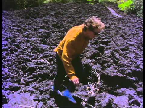 David Kilgour - You Forget (Music Video)