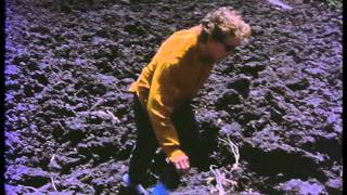 David Kilgour - You Forget (Music Video)