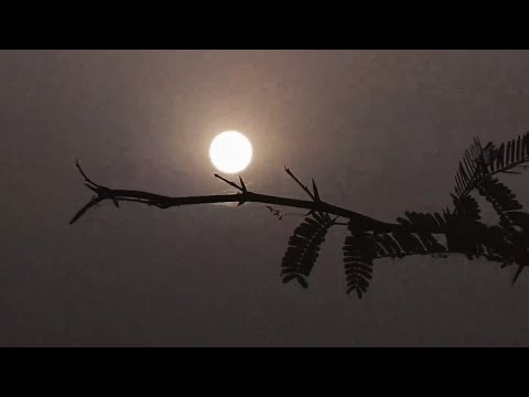 LIFAFA लिफाफा - Laash लाश (Lyric Video)