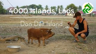 Si Phan Don (4000 Islands), Laos. Part 1 - Visiting Don Det island.