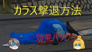 ごみ置き場のカラス撃退方法です。試しにやってみてください。