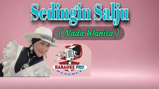 Download lagu Sedingin Salju Karaoke Nada Wanita Full HD - Elvy Sukaesih mp3