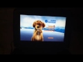 DVD Guide Of Snow Buddies DVD 2008